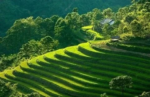 Hotspot Matrix và Tịch thu gần 4 tỷ đồng nhét trong máy giặt của một công ty điện máy_Tiếp thị kỹ thuật số cho người mới bắt đầu