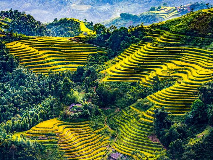 Sự Bùng Nổ Của Video Ngắn và Trí Tuệ Nhân Tạo: Vai Trò Thiết Yếu Của Đào Tạo Kỹ Năng Sáng Tạo Nội Dung