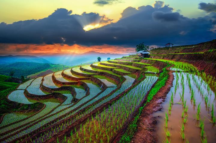 Vươn Cao cùng Hotspot Matrix: Chuyện Thành Công của [Tên Doanh Nghiệp]