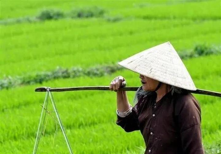 Hotspot Matrix: Bí quyết thành công trong kỷ nguyên video ngắn